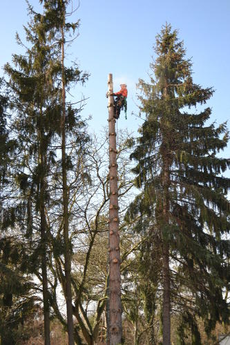 klicken zum Vergrößern