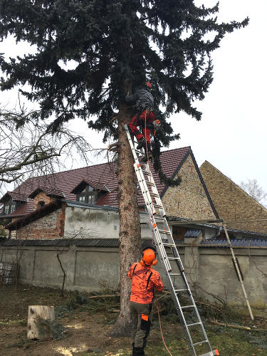 klicken zum Vergrößern