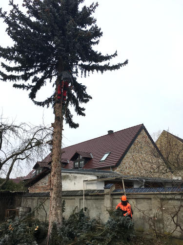 klicken zum Vergrößern